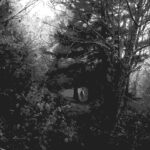 Hiking in woods